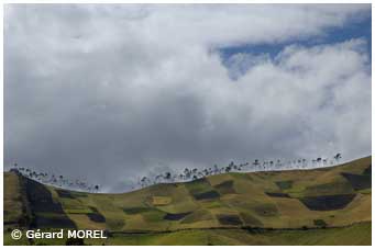 equateur-morel-gerard-chimborazo