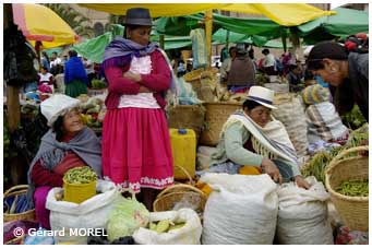 equateur-morel-gerard-gualaceo