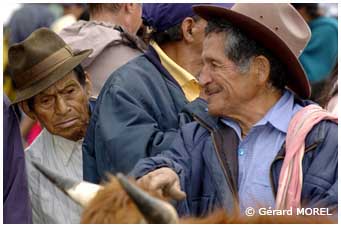 equateur-morel-gerard-gualaceo