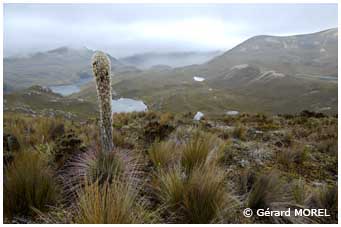 equateur-morel-gerard-lascajas