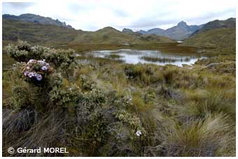 equateur-morel-gerard-lascajas