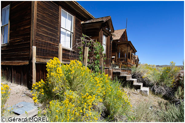 05-bodie_Morel-Gerard