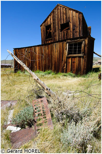25-bodie_Morel-Gerard