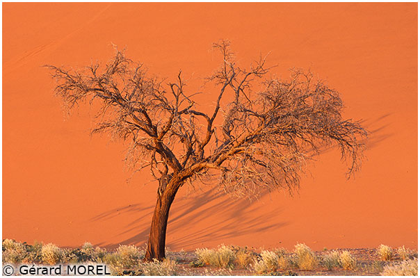 1344_Morel-Gerard_Namibie